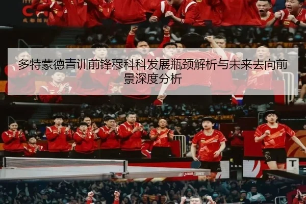 多特蒙德青训前锋穆科科发展瓶颈解析与未来去向前景深度分析